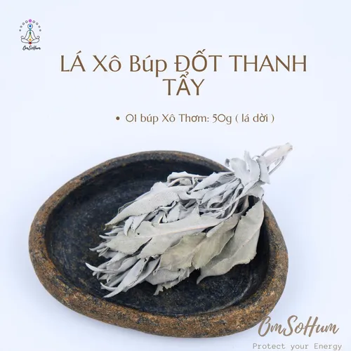 Xô Thơm Trắng Whitesage