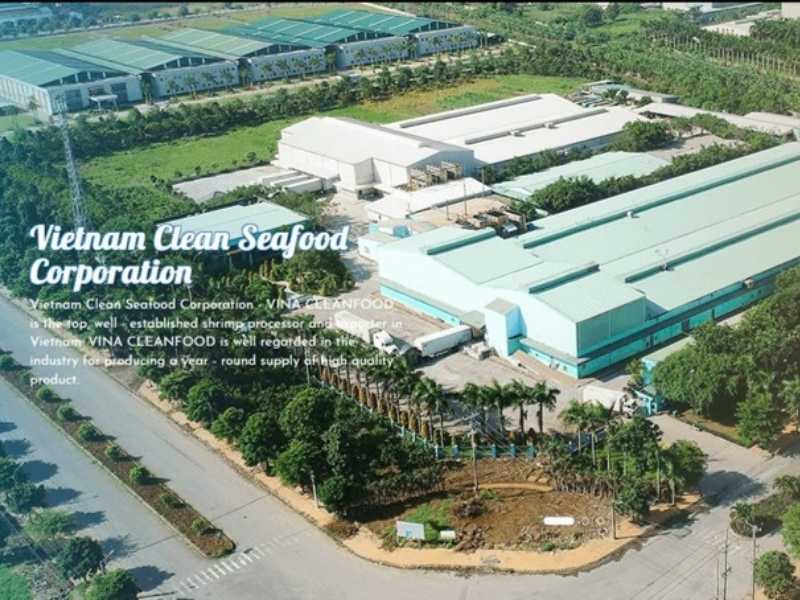 Công ty Thủy sản Sạch Việt Nam chuyên chế biến và xuất khẩu thủy sản sạch, kiểm soát chất lượng từ nuôi trồng đến sản phẩm hoàn thiện