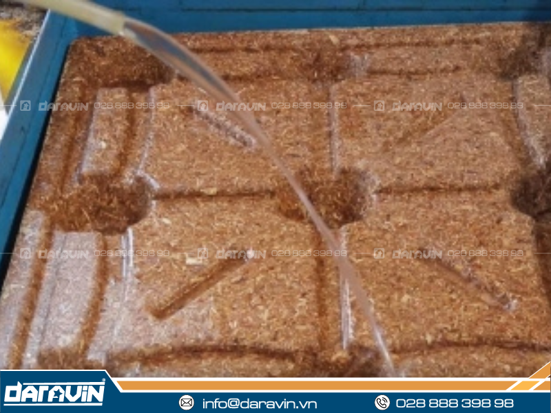 Ưu điểm của sản phẩm pallet xơ dừa 1 tầng