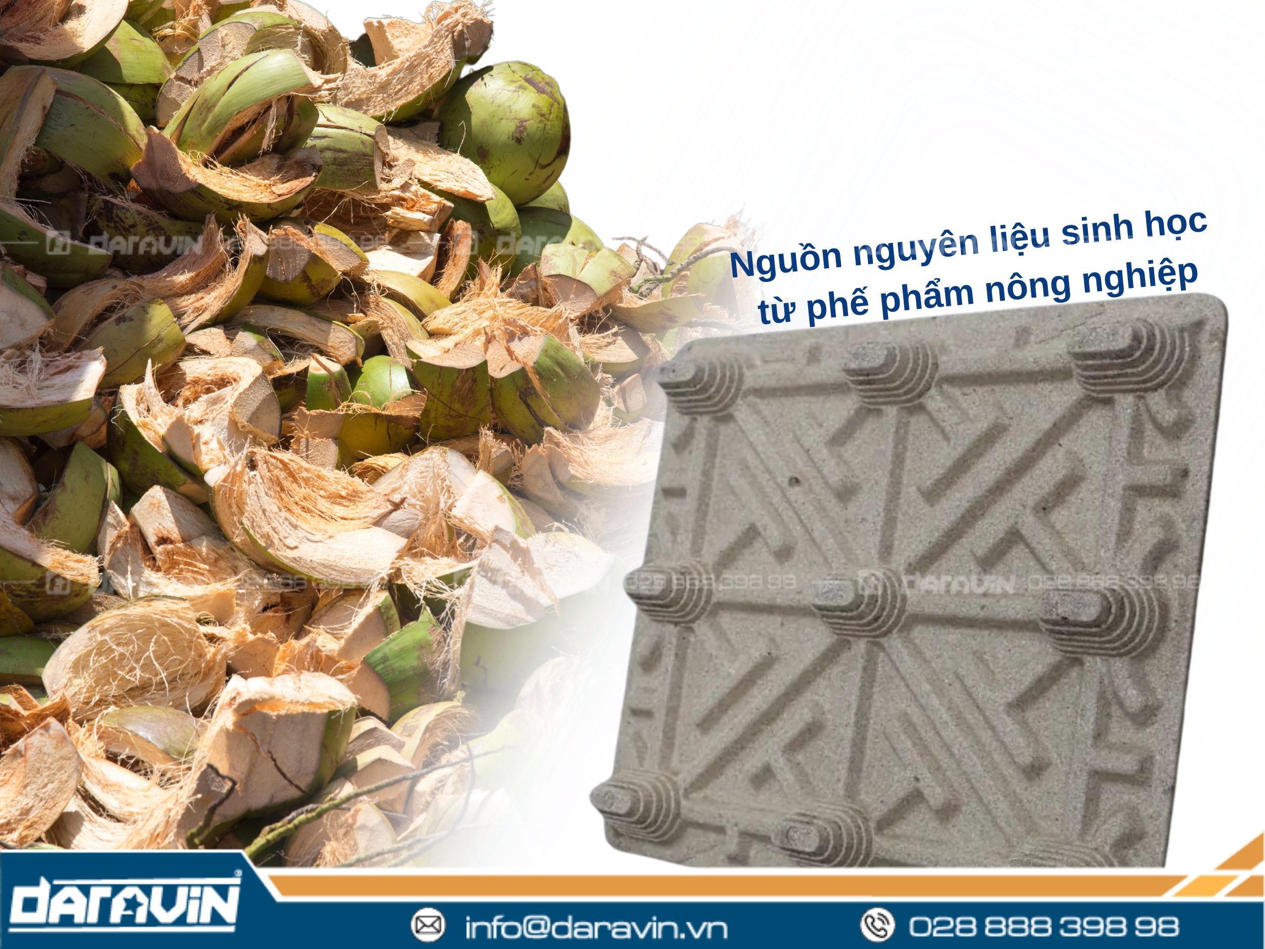 Pallet xơ dừa - Sản phẩm sinh học tái chế từ phế phẩm nông nghiệp