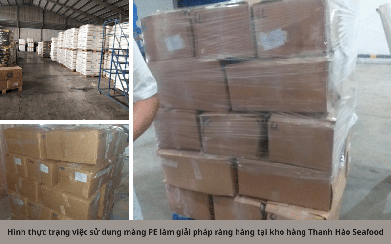 Thực trạng việc sử dụng màng Pe làm giải pháp ràng hàng tại kho hàng Thanh Hào Seafood Thực trạng việc sử dụng màng Pe làm giải pháp ràng hàng tại kho hàng Thanh Hào Seafood