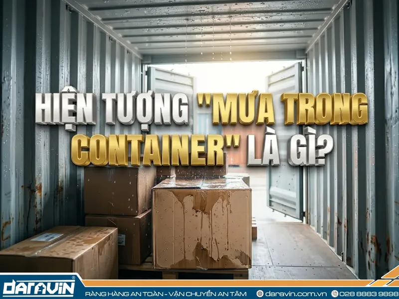 Hiện tượng mưa container là gì? Nguyên nhân và cách ngăn ngừa