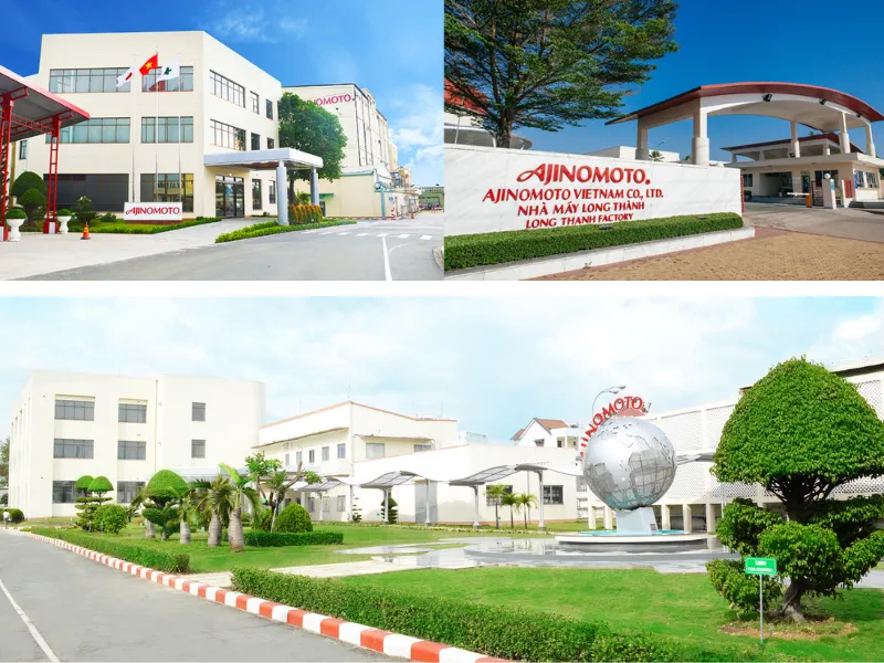 Vì sao Ajinomoto Việt Nam chọn DARAVIN là đối tác chiến lược trong công cuộc xây dựng kho hàng Xanh