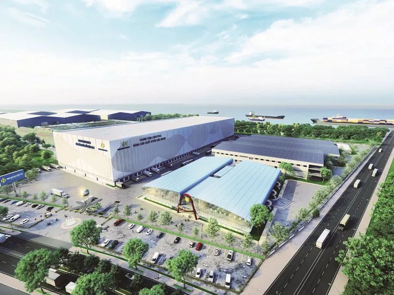 DARAVIN & Hạnh Nguyên: Giải pháp lưới thun ràng pallet chuyên biệt, nâng tầm dịch vụ logistics nông sản