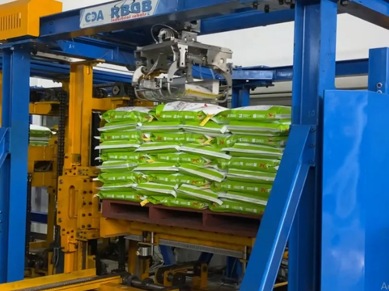 Robot Xếp Hàng Lên Pallet - Giải Pháp Chuyển Đổi Tự Động Hóa Mạnh Mẽ
