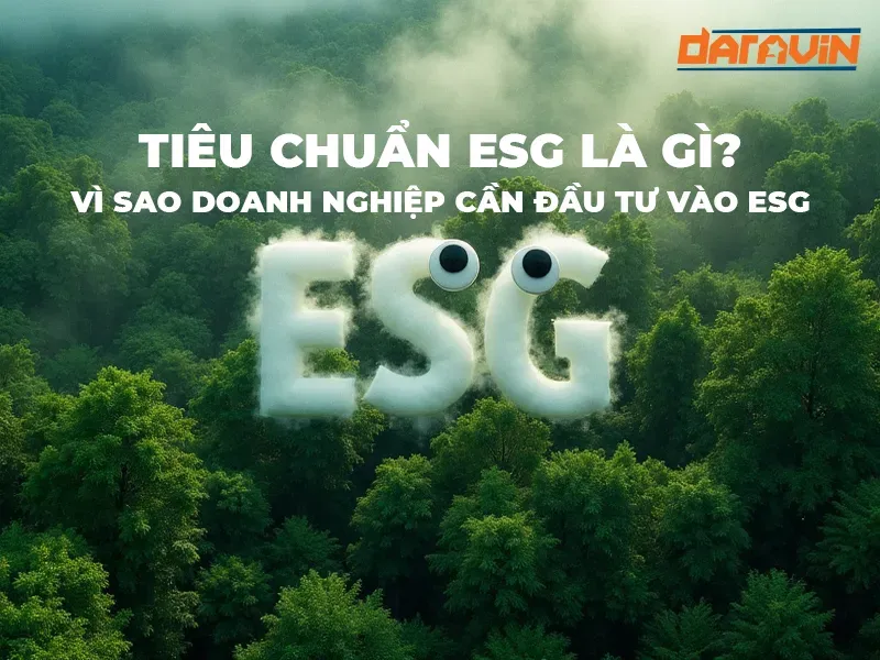 Tiêu chuẩn ESG là gì? Vì sao doanh nghiệp cần đầu tư vào ESG