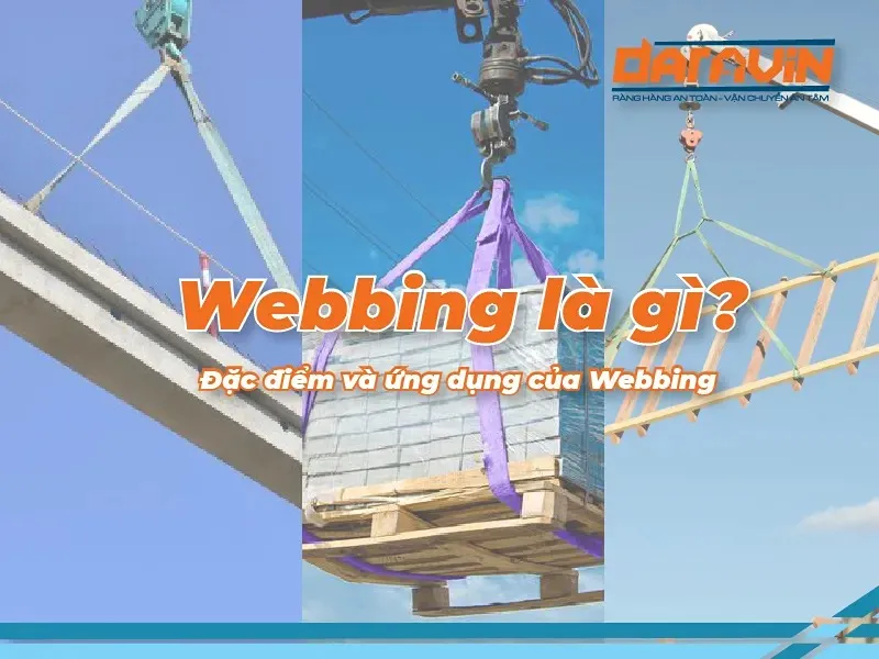 Webbing là gì? Đặc điểm và ứng dụng của dây Webbing