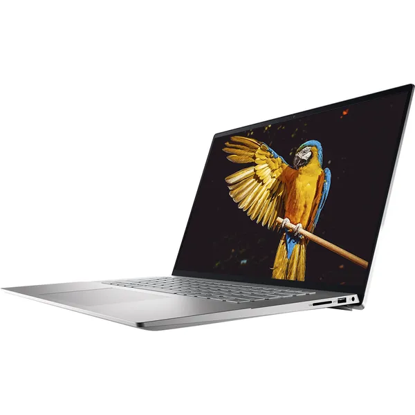 DELL INSPIRON 5620 P1WKN