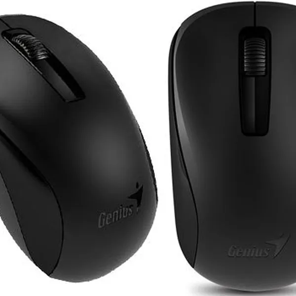 Chuột máy tính không dây Genius NX7005 (Đen)