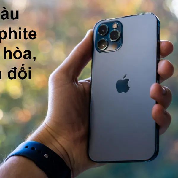 IPhone 12 Pro Max 512GB Graphite