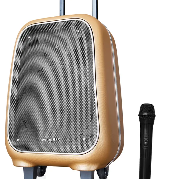 Loa bluetooth SoundMAX M6