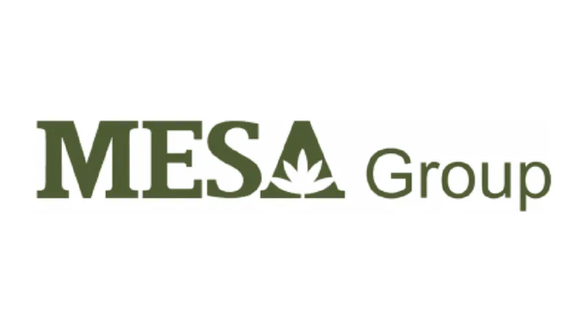 Mesa Group