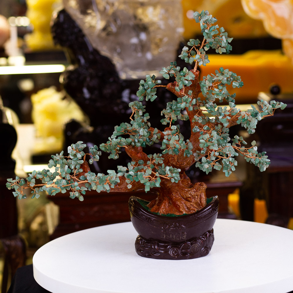 cây phong thuỷ để bàn