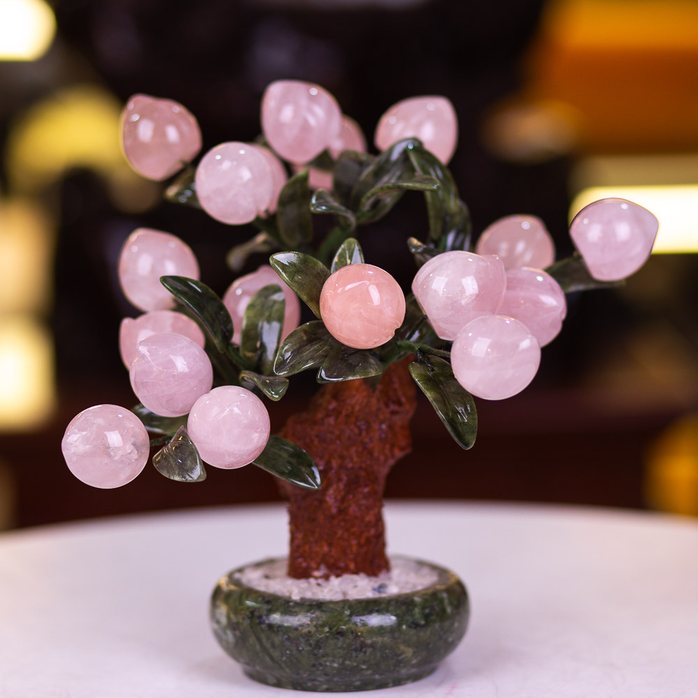 cây phong thuỷ để bàn - cây đào đá phong thủy