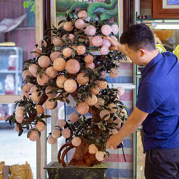 cây đào đá phong thủy