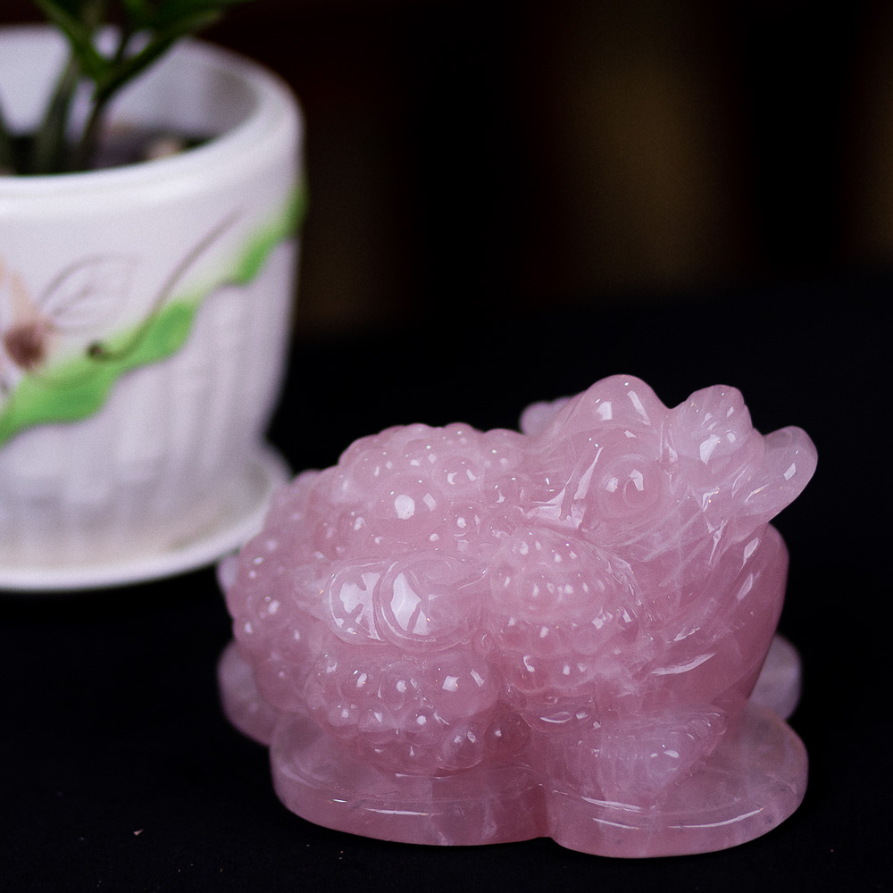 Thiềm Thừ (Cóc 3 Chân - Cóc Ngậm Tiền) hạch Anh Hồng 1,28kg - M13665