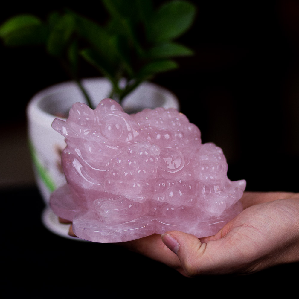 Thiềm Thừ (Cóc 3 Chân - Cóc Ngậm Tiền) hạch Anh Hồng 1,28kg - M13665