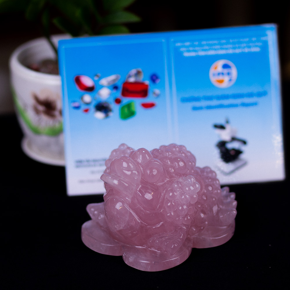 Thiềm Thừ (Cóc 3 Chân - Cóc Ngậm Tiền) Thạch Anh Hồng 1,43kg - M13666