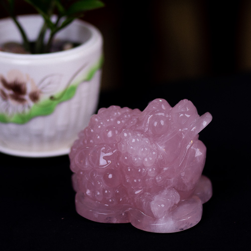 Thiềm Thừ (Cóc 3 Chân - Cóc Ngậm Tiền) Thạch Anh Hồng 1,43kg - M13666