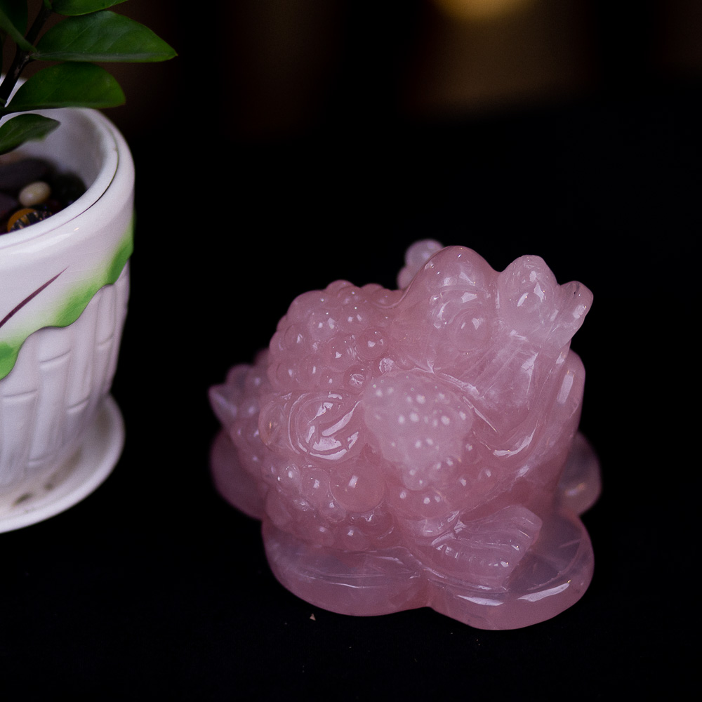 Thiềm Thừ (Cóc 3 Chân - Cóc Ngậm Tiền) Thạch Anh Hồng 1,15kg - M13668