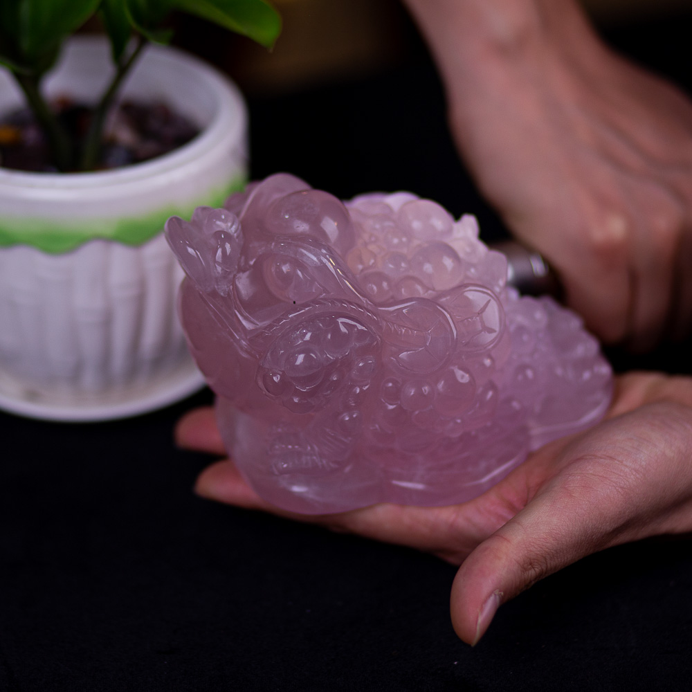 Thiềm Thừ (Cóc 3 Chân - Cóc Ngậm Tiền) Thạch Anh Tím 1,49kg - M13681