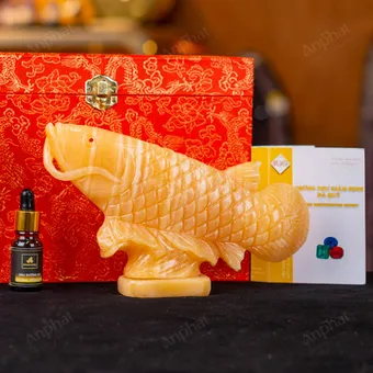 Cá Rồng Ngọc Hoàng Long - 22cm - M296008