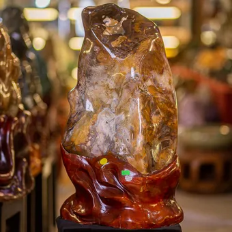 Đá Cảnh - Đá Trấn Trạch 31kg - M11324