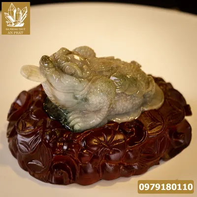 Thiềm Thừ Ngọc | Thiềm Thừ Ngọc Phỉ Thúy | Thiềm Thừ (Cóc 3 Chân, Cóc Ngậm Tiền) Ngọc Jadeit - M14591