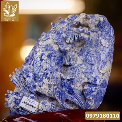 Cá Rồng - Cá Chép Hóa Rồng 6,4kg, Quà Tặng Sếp, Quà Thăng Chức Cao Cấp - M12172