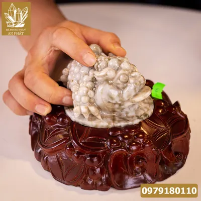 Thiềm Thừ Ngọc | Thiềm Thừ Ngọc Phỉ Thúy | Thiềm Thừ (Cóc 3 Chân, Cóc Ngậm Tiền) Ngọc Jadeit Tự Nhiên - M14592