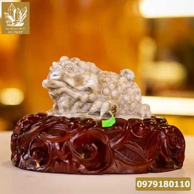 Thiềm Thừ Ngọc | Thiềm Thừ Ngọc Phỉ Thúy | Thiềm Thừ (Cóc 3 Chân, Cóc Ngậm Tiền) Ngọc Jadeit Tự Nhiên - M14592