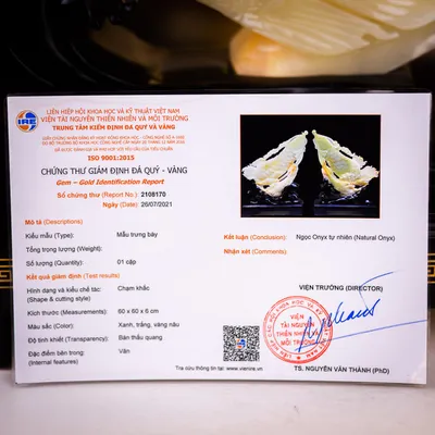 Cặp Cá Rồng Ngọc Onyx VIP - M22991