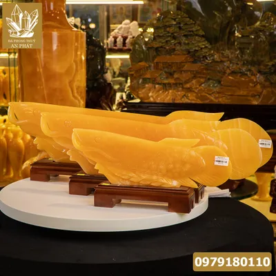 Cá Rồng Ngọc Onyx Vàng Tự Nhiên - M1669