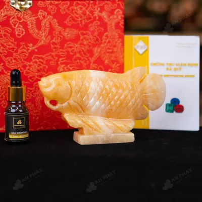 Cá Rồng Ngọc Hoàng Long - 15cm - M292704