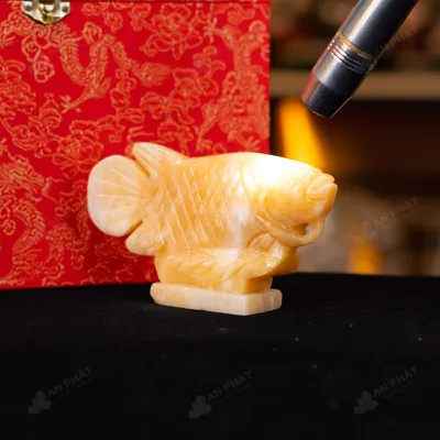 Cá Rồng Ngọc Hoàng Long - 15cm - M292704