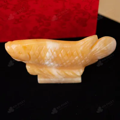 Cá Rồng Ngọc Hoàng Long - 15cm - M292704