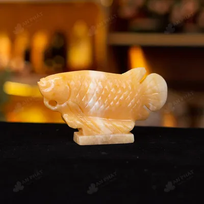 Cá Rồng Ngọc Hoàng Long - 15cm - M292704