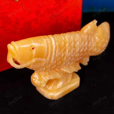 Cá Rồng Ngọc Hoàng Long - 22cm - M296008