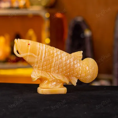 Cá Rồng Ngọc Hoàng Long - 22cm - M296008