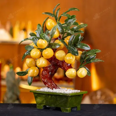 Cây Đào Đá Ngọc Hoàng Long 18 Quả - M2939288