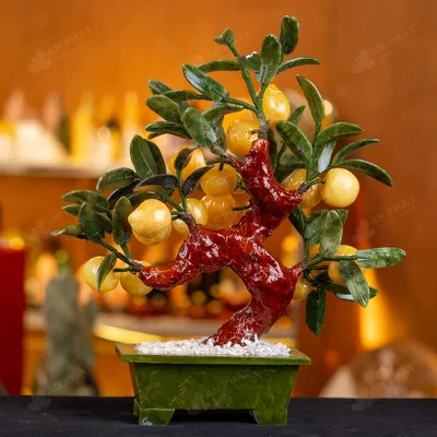 Cây Đào Đá Ngọc Hoàng Long 18 Quả - M2939288