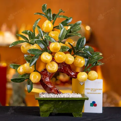 Cây Đào Đá Ngọc Hoàng Long 18 Quả - M2939288