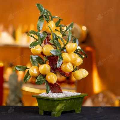 Cây Đào Đá Ngọc Hoàng Long 18 Quả - M2939288