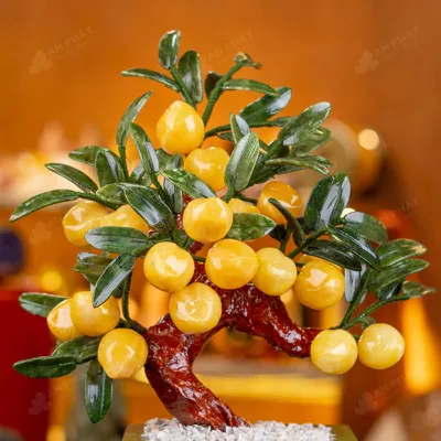 Cây Đào Đá Ngọc Hoàng Long 18 Quả - M2939288