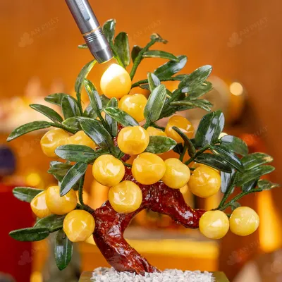 Cây Đào Đá Ngọc Hoàng Long 18 Quả - M2939288