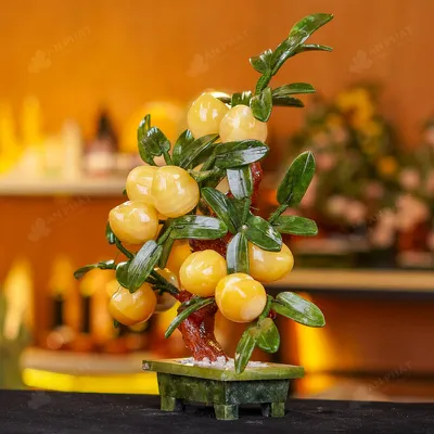 Cây Đào Đá Ngọc Hoàng Long 12 Quả 016-049DN-12