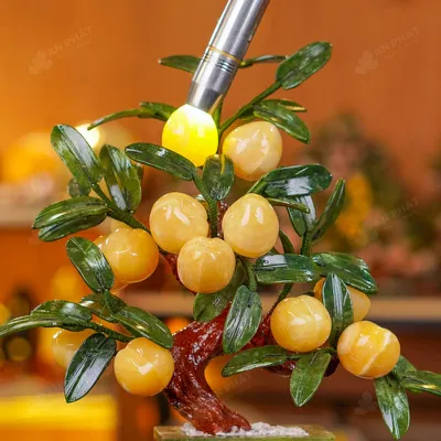 Cây Đào Đá Ngọc Hoàng Long 12 Quả 016-049DN-12