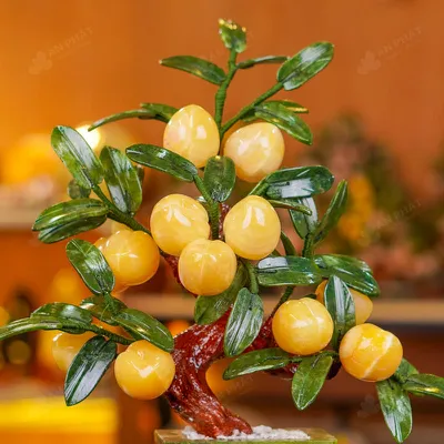 Cây Đào Đá Ngọc Hoàng Long 12 Quả 016-049DN-12