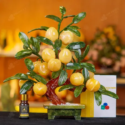 Cây Đào Đá Ngọc Hoàng Long 12 Quả 016-049DN-12