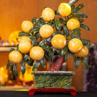 Cây Đào Đá Ngọc Hoàng Long 3A 12 Quả 016-0493A-12